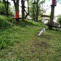PARK LINOWY (62)